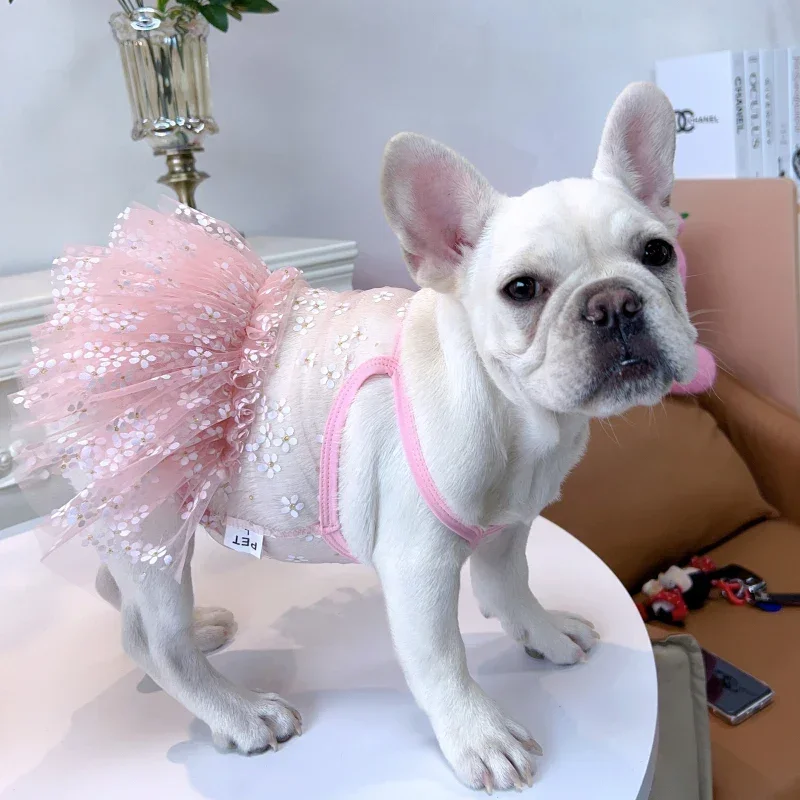 Summer Clothing In French - Yazlık Pug Elbisesi Fransız Bulldog Kıyafetleri