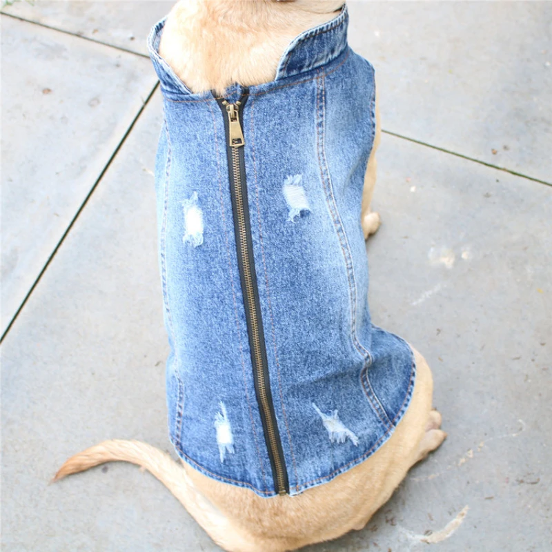 Yaz Büyük Büyük Köpek Giyim De - Summer Clothing In French incelemesi ve fiyatı