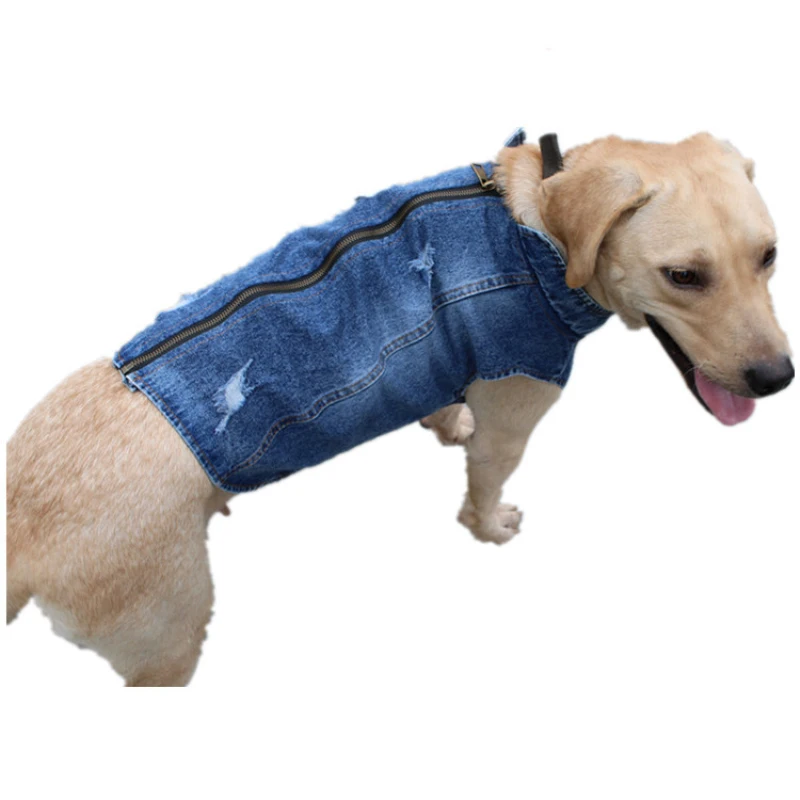 Yaz Büyük Büyük Köpek Giyim De - Summer Clothing In French incelemesi ve fiyatı